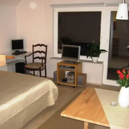 Studio In Apartament
